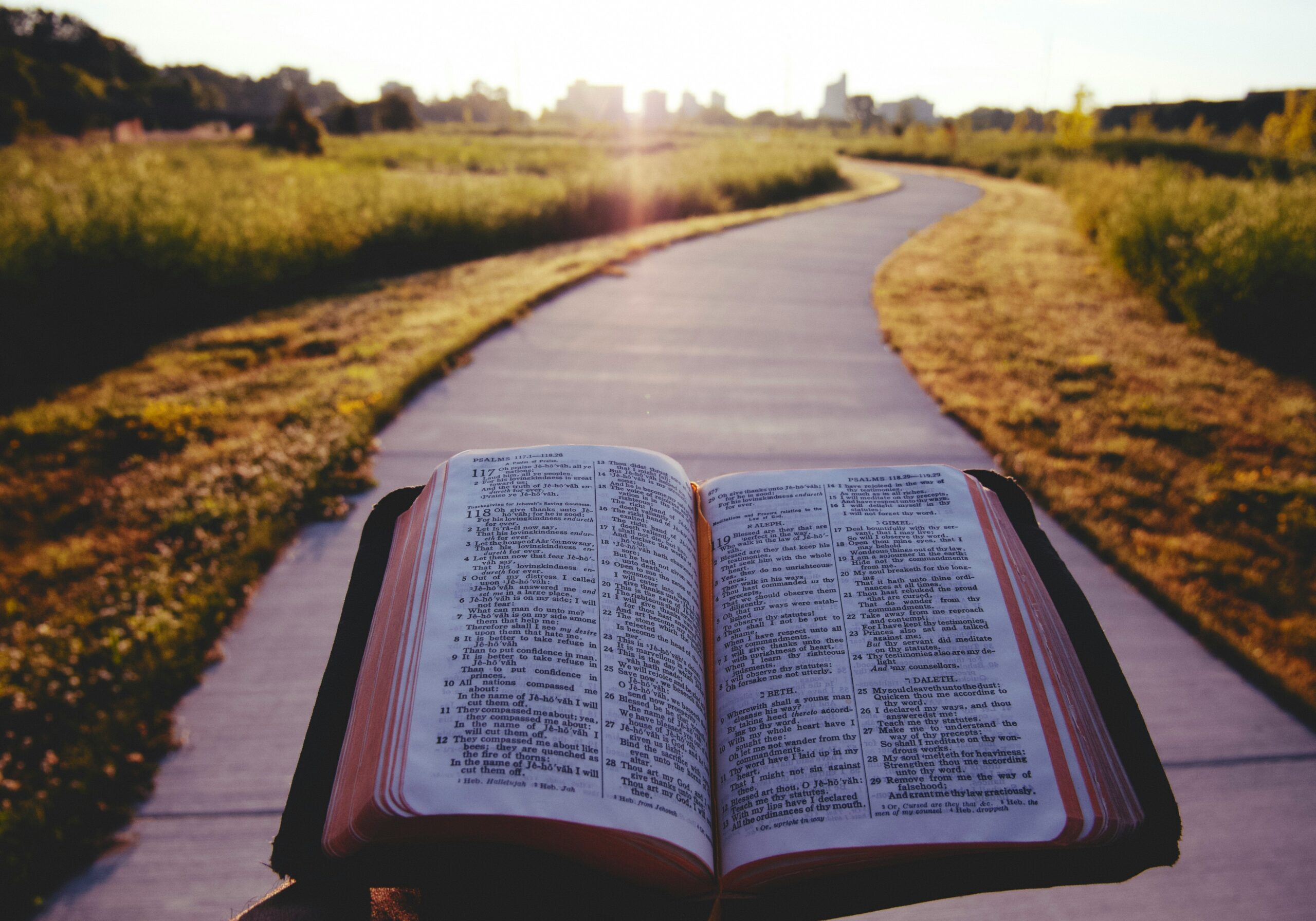 aaron-burden-4uX_r8OhJ_o-unsplash